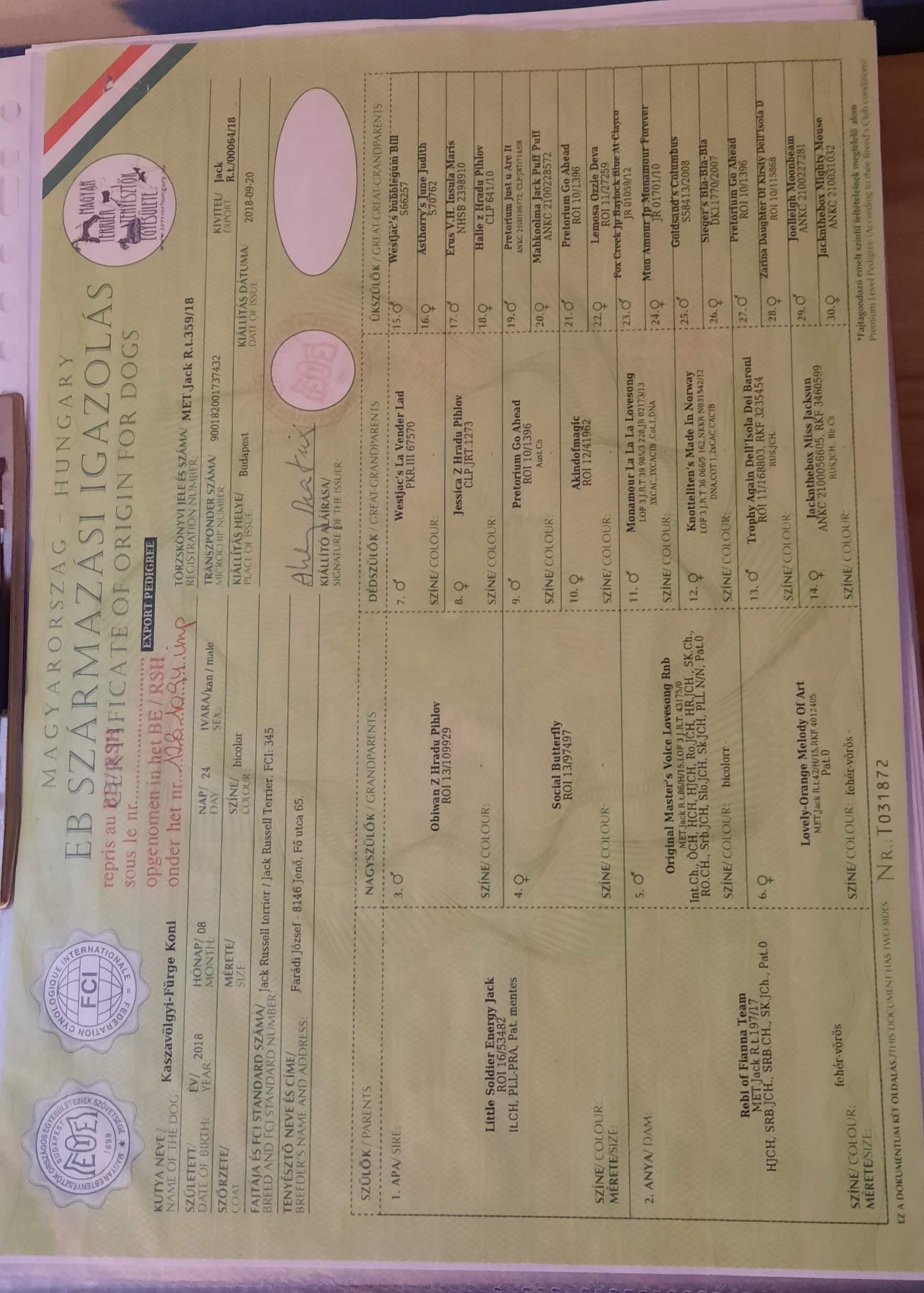 20250830 121510 Hummerke stamboom