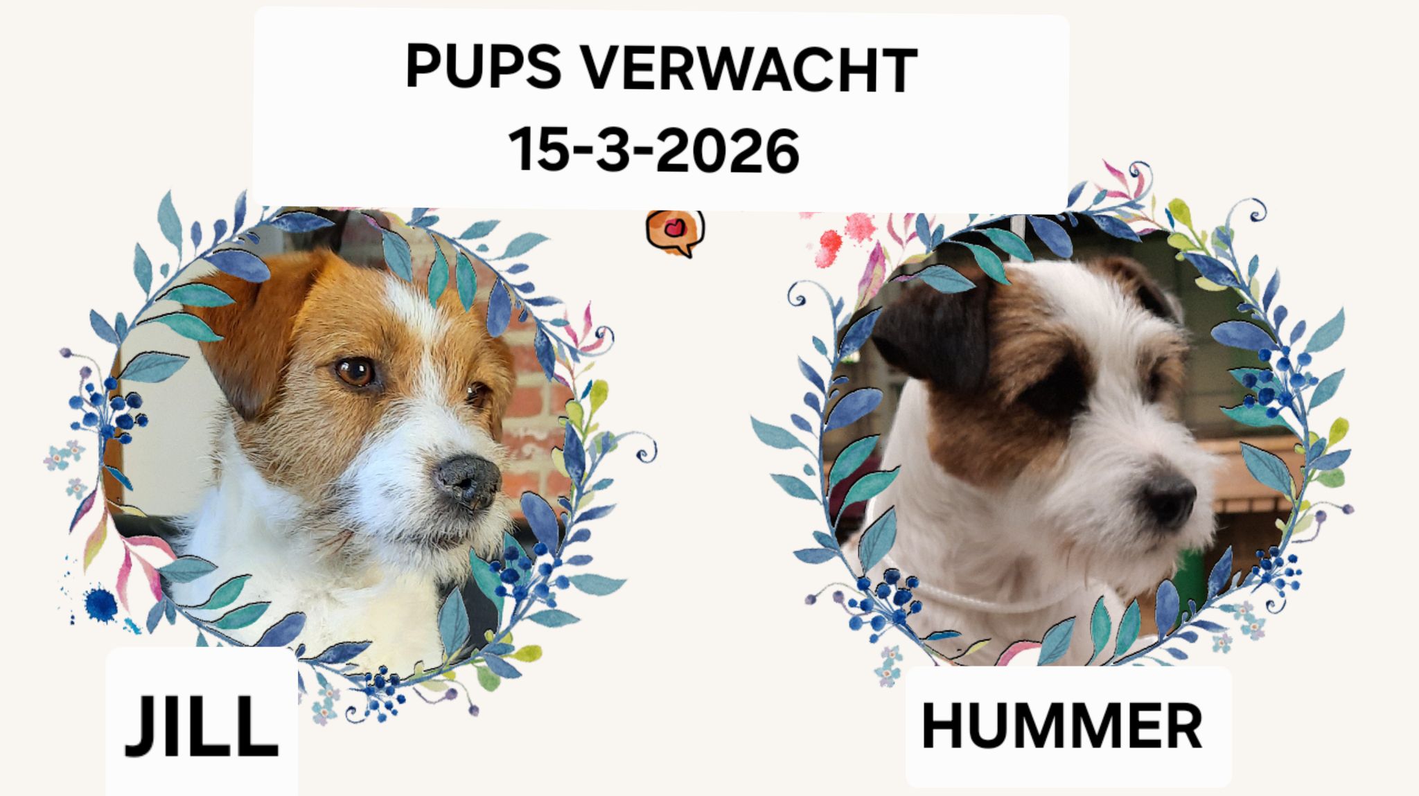 verwacht pups 2026